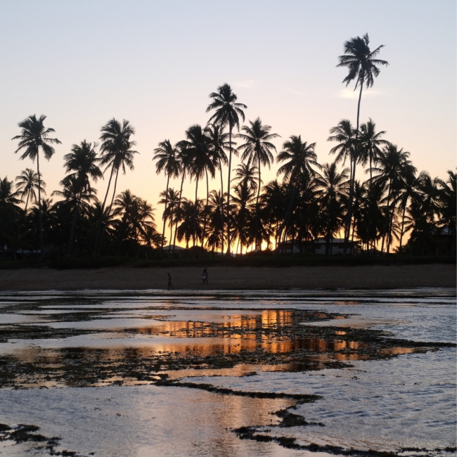 CONOCE PRAIA DO FORTE2025