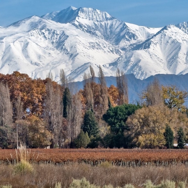 CONOCE MENDOZA PROMO FERIADO