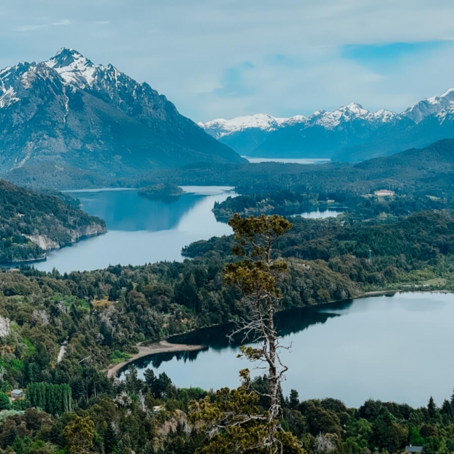 Esquel, Bariloche y San Martin de los Andes con Tulipanes GRUPAL 2025
