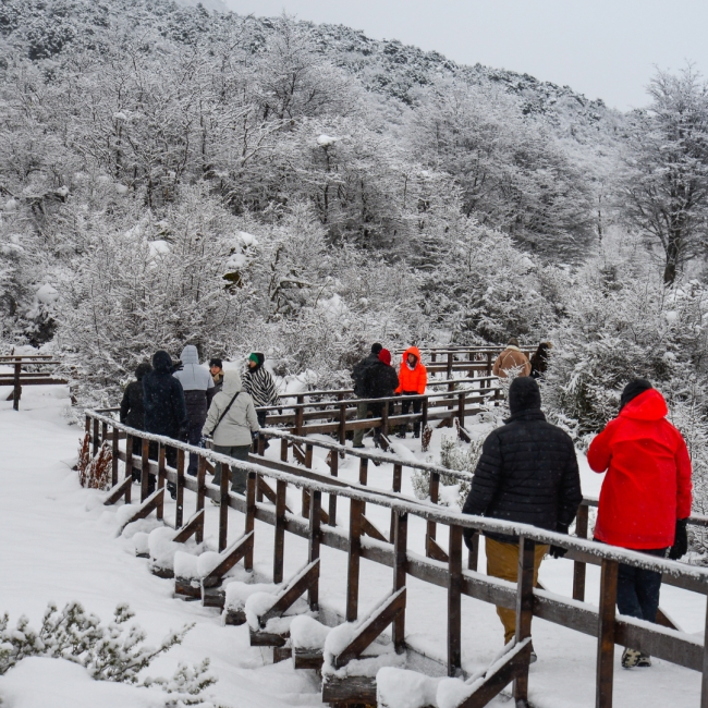 DISFRUT USHUAIA PREMIUM - CIUDAD Y NIEVE