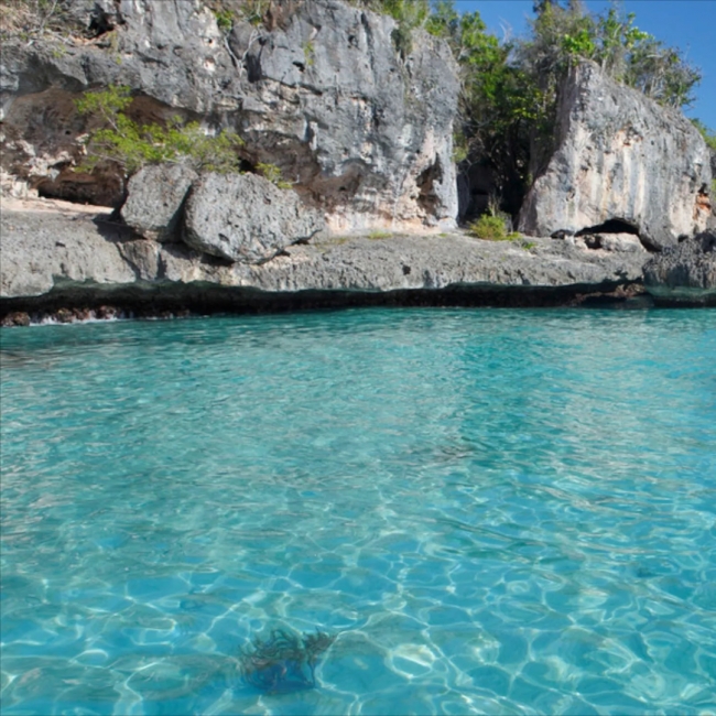 DISFRUTÁ DEL VERANO 2026 EN BAYAHIBE Y PUNTA CANA!
